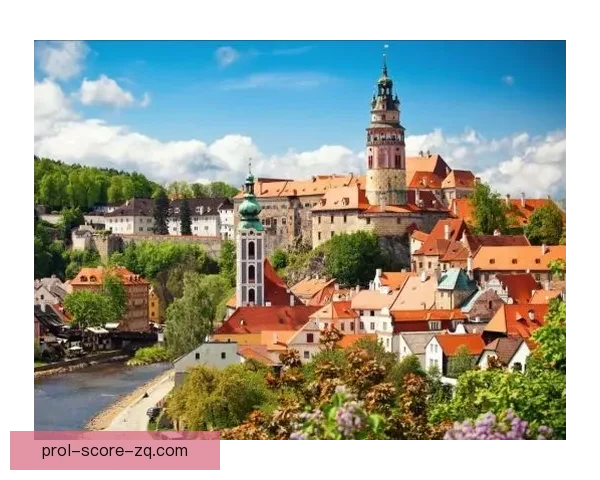 特莱克姆波恩61至72与维尔茨堡地区历史文化发展研究